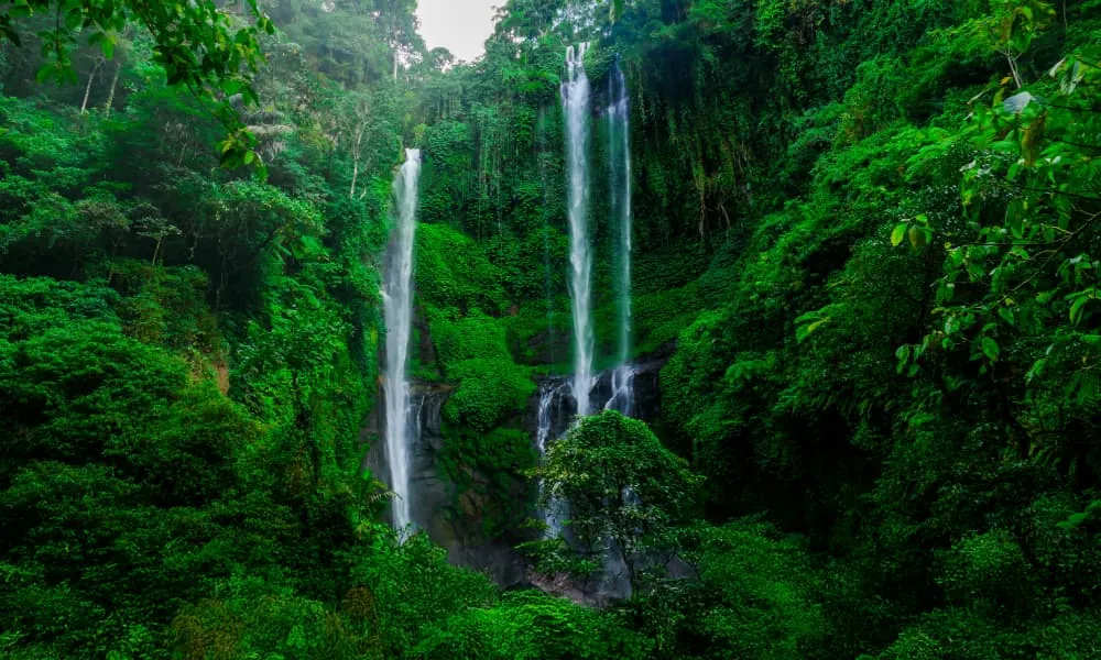 Sekumpul Waterfall